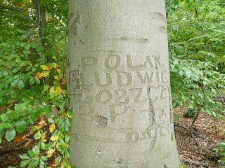 k-P1060101.JPG