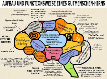 Gutmenschenhirn
