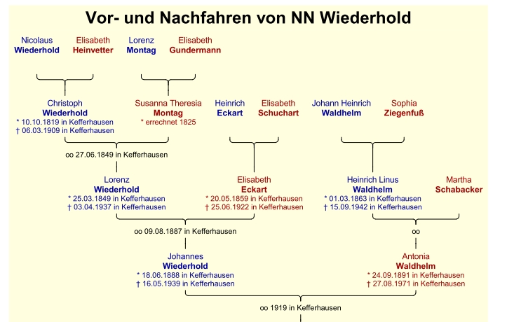 Wiederhold.jpg