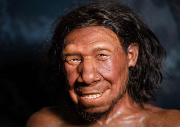 Neandertaler.jpg